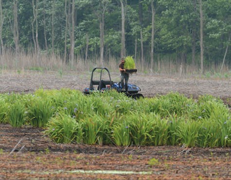 Mentor Marsh Mentor Marsh