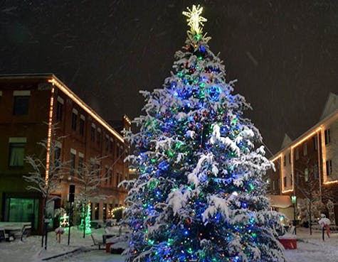 Indian, Pennsylvania_what is_what city is_claims_to be_the Christmas tree capital of the world_where did Jimmy Stewart grow up_where is he from_winter travel destinations for Christmas vacation