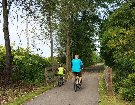 best bike for crushed limestone trails