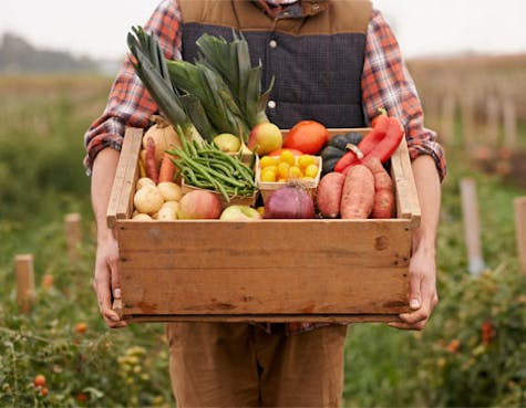 Fresh Food Fresh Food