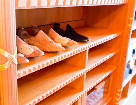 shoe shoe